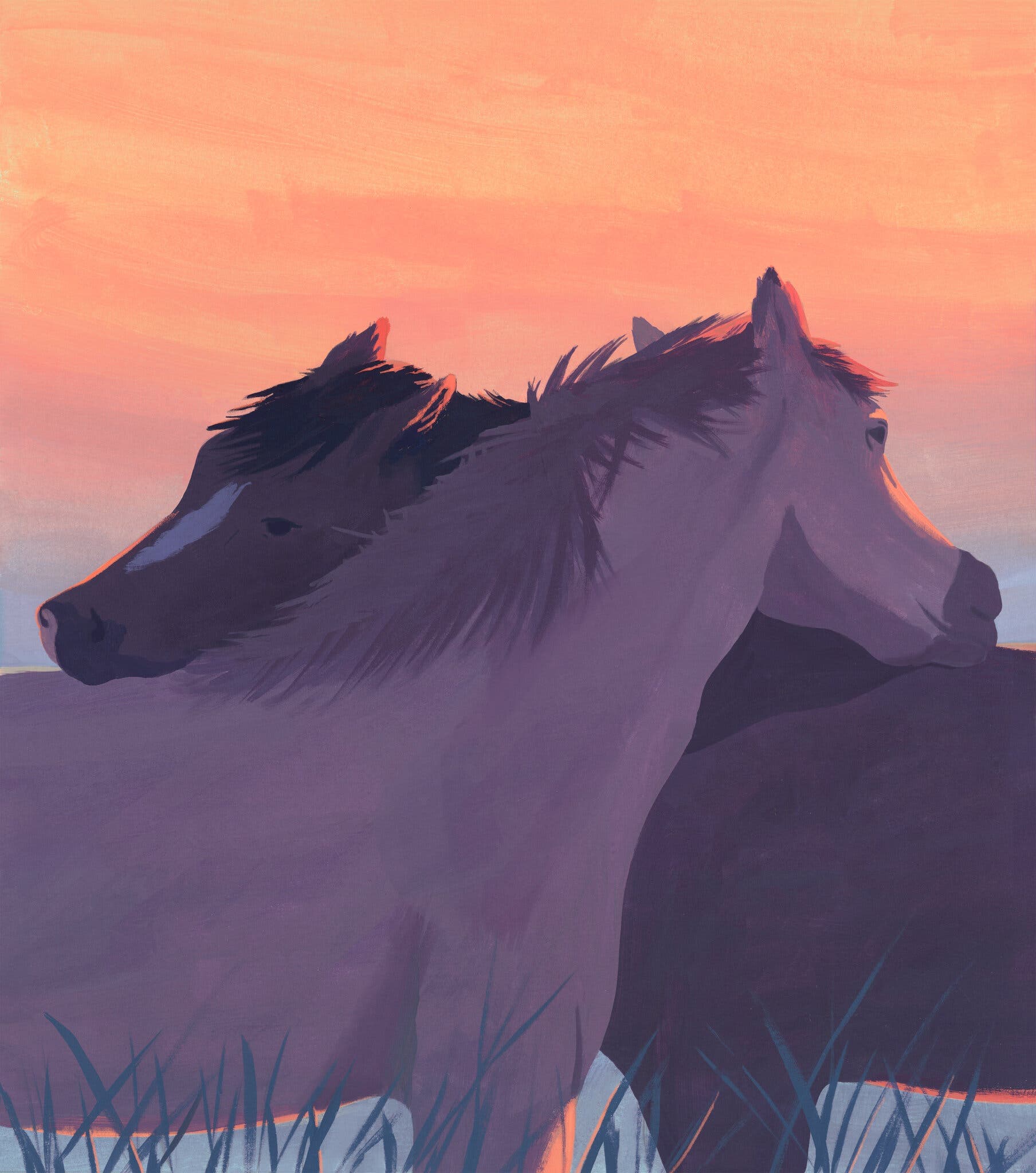 Holly Stapleton for The New York Times