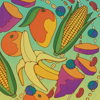 The Low-Carb Debate Gets a Colorful Treatment from Hayley Watson